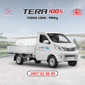TERA100S THÙNG LỬNG