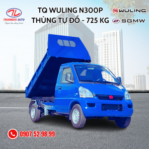 TQ WULING BEN